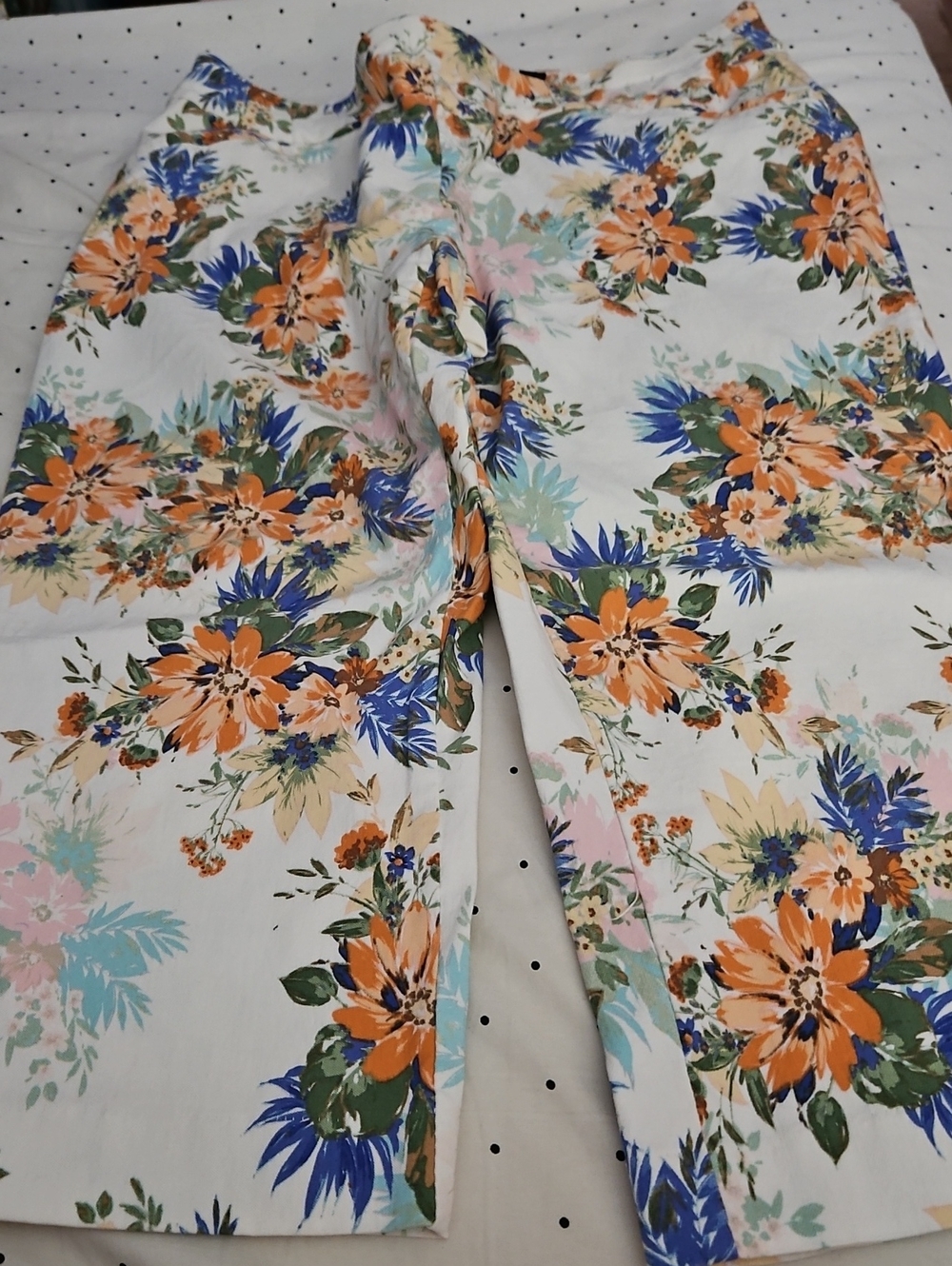 Briggs Floral Capri Pants Size 10P